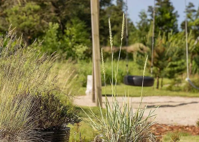 Feriehus 0365-romo-dyssebjergvej-27